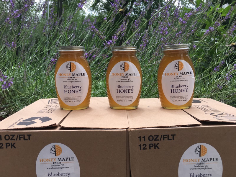 Three jars of Honey Maple Farm's Blueberry Honey arranged in front of a lavender bush.